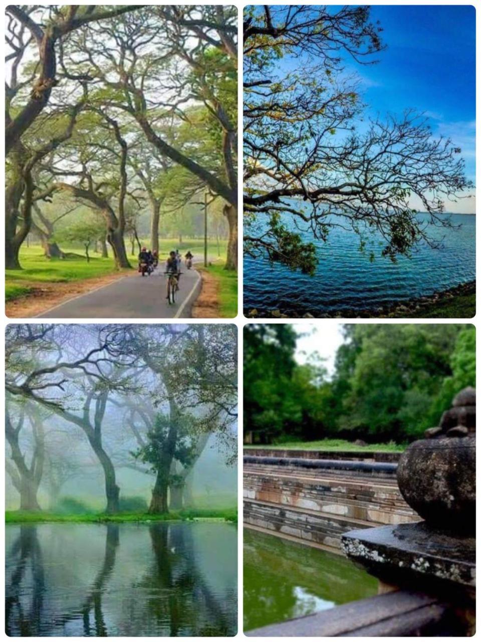 Kingdom Gate Hotel Anuradhapura Kültér fotó